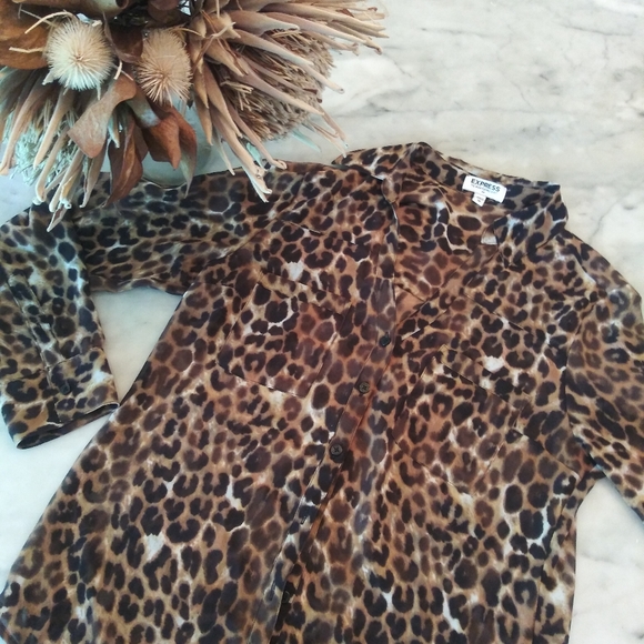 Express button down blouse. - Picture 2 of 9